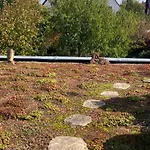 Lägenhet Terrassenwohnung-klimatisiert Neustadt an der Weinstraße