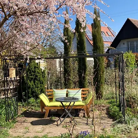 Terrassenwohnung * Neustadt an der Weinstrasse
