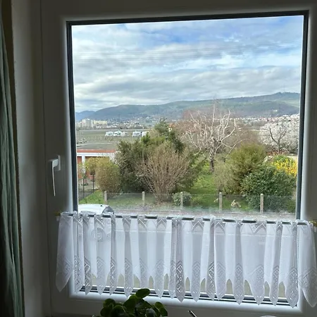 Terrassenwohnung Neustadt an der Weinstrasse