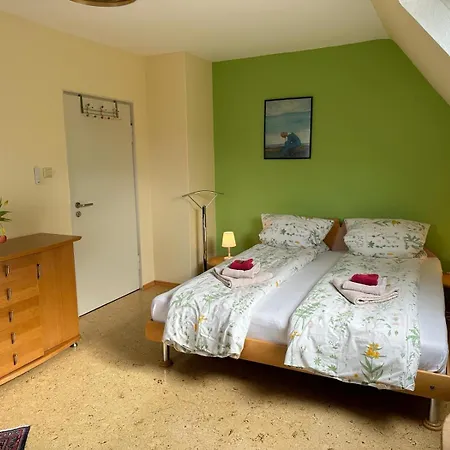 Apartment Terrassenwohnung-klimatisiert Neustadt an der Weinstrasse