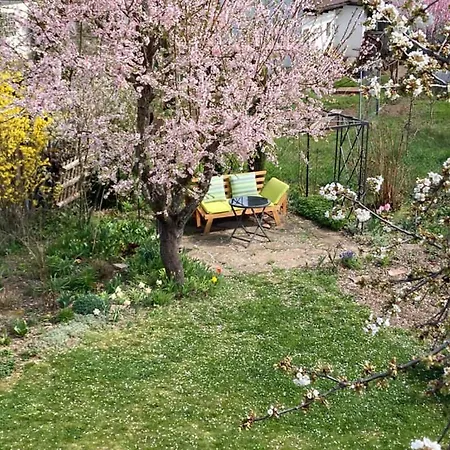 Apartamento Terrassenwohnung Neustadt an der Weinstraße