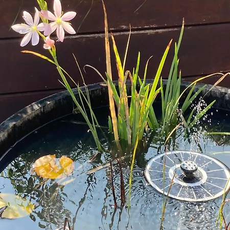 Terrassenwohnung Neustadt an der Weinstraße