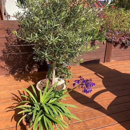 Terrassenwohnung-klimatisiert *