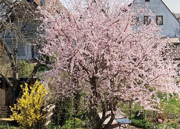 דירה Terrassenwohnung-klimatisiert