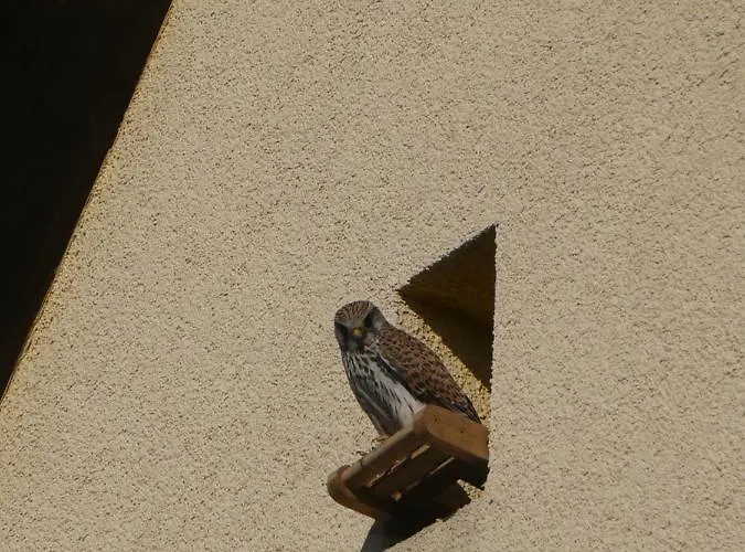 Terrassenwohnung-klimatisiert *