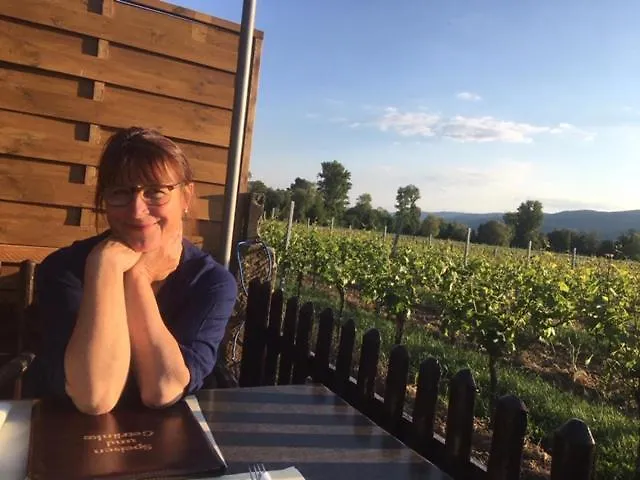 Terrassenwohnung-klimatisiert * Neustadt an der Weinstraße