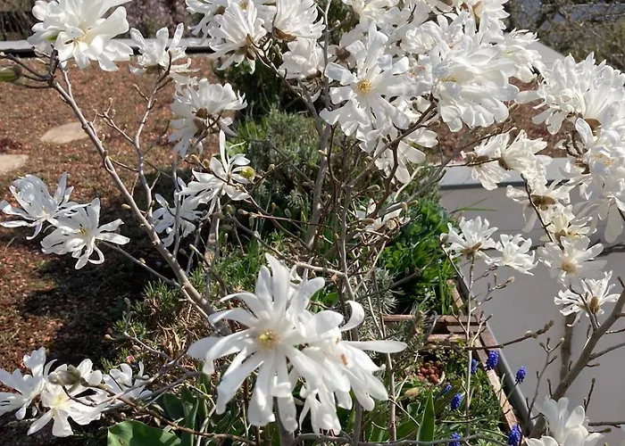 Terrassenwohnung-klimatisiert *