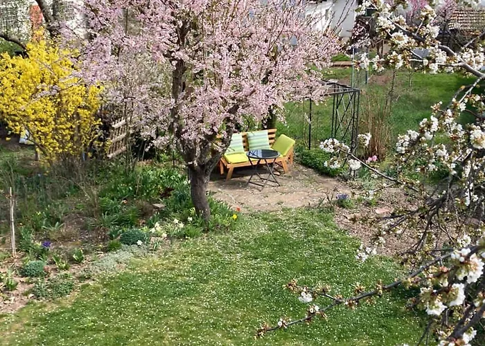 דירה Terrassenwohnung-klimatisiert Neustadt an der Weinstraße