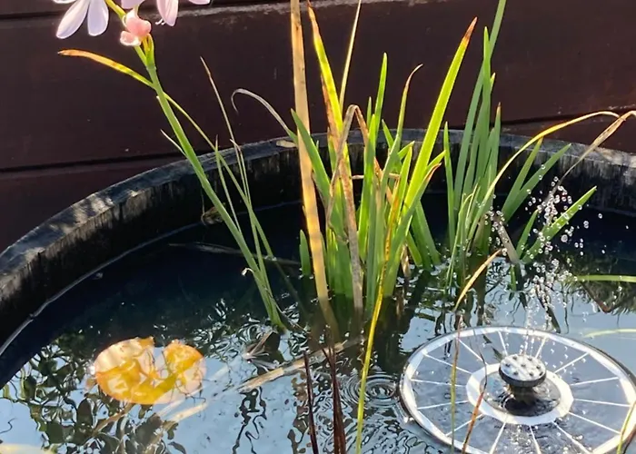 Terrassenwohnung-klimatisiert Neustadt an der Weinstraße