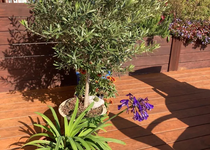 Terrassenwohnung-klimatisiert *